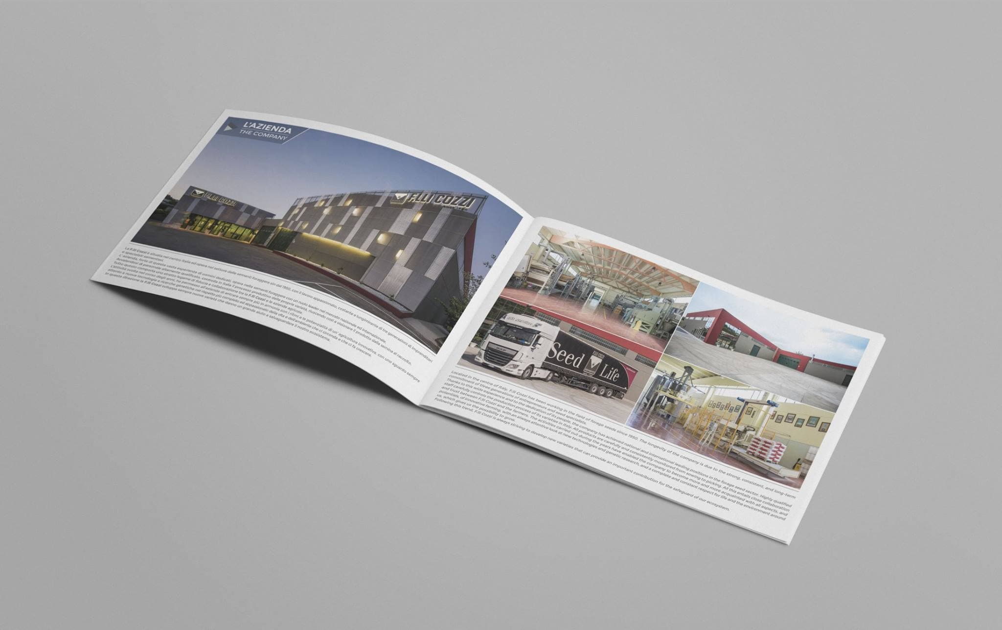 F.LLI Cozzi Group. Print · corporate brochure